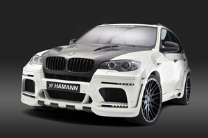 Hamann-Flash-Evo-M-(cover)