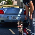 2012 Gold Coast Concours Chris Petruccio