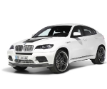 AC Schnitzer BMW X6 M