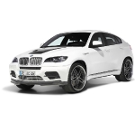 AC Schnitzer BMW X6 M