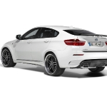 AC Schnitzer BMW X6 M