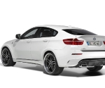 AC Schnitzer BMW X6 M