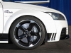 Cam Shaft Audi TT-RS Black and White Edition