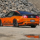 Design World Mustang 5.0