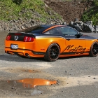 Design World Mustang 5.0