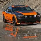 Design World Mustang 5.0