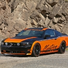 Design World Mustang 5.0