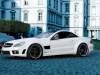 Famous Parts Mercedes SL500