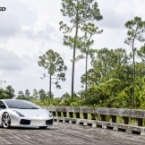 ISS Lamborghini Gallardo Forged Wheels