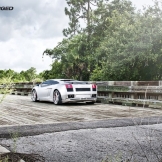 ISS Lamborghini Gallardo Forged Wheels