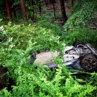 The Bear Mountain Lamborghini Crash