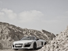 LINNHART Audi R8 Spyder