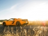 McLaren 50 12C and 12C Spider