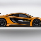 McLaren MP4-12C Can Am