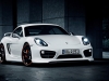 TechArt Porsche Cayman 981