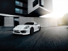 TechArt Porsche Cayman 981