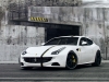 WheelsandMore Ferrari FF